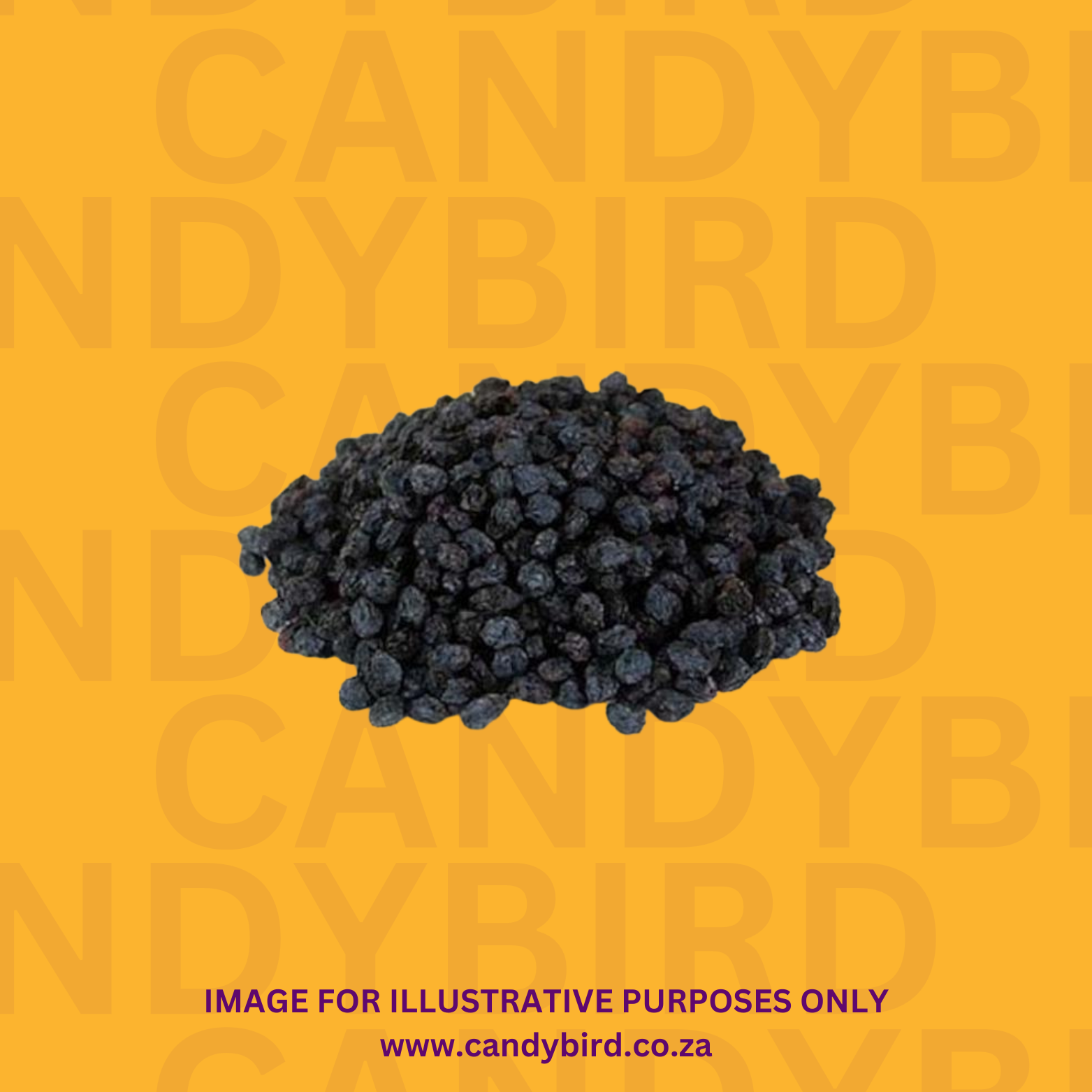 Blueberries Dried