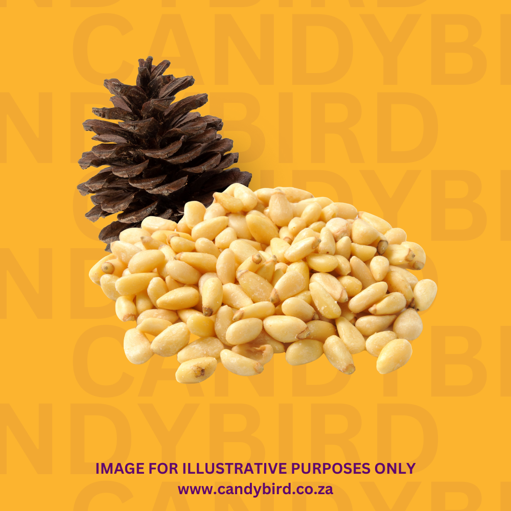 Pine Kernels Pine Nuts